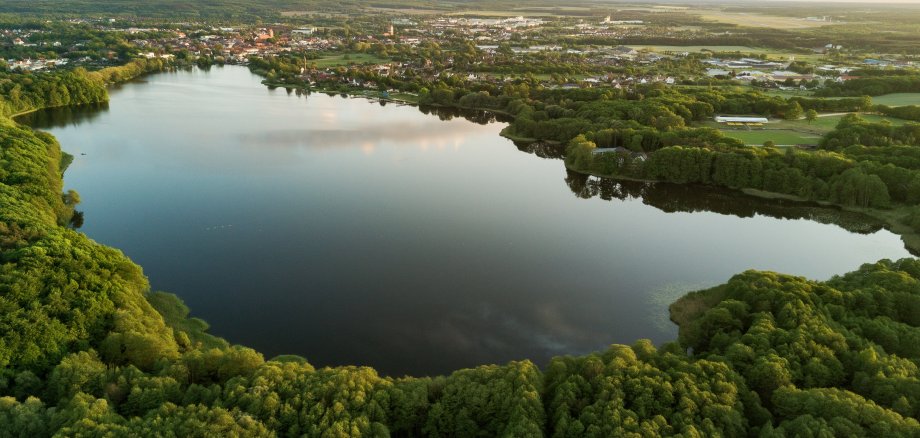 Wockersee mit grüner Waldfläche