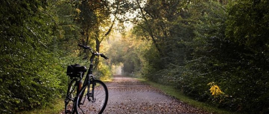 fahrrad nickel parchim