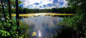 Ausblick auf dem Slater Moor bei Parchim