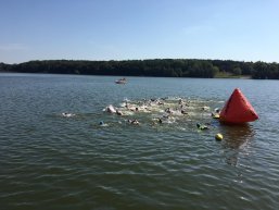 Schwimmer im Wockersee