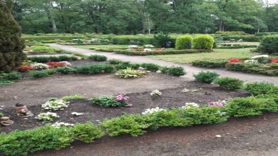 Wahlgräber für Särge Wahlgräber für Särge