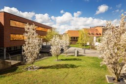 Auf den Stadthausterrassen mit Blickrichtung Parkplatz