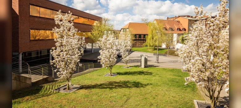 Auf den Stadthausterrassen mit Blickrichtung Parkplatz