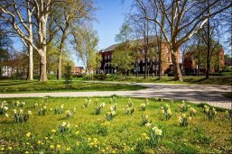 Wallanlagen an der Wallallee