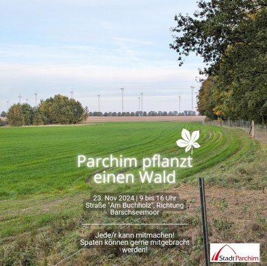 Ackeraufforstung Barschseemoor Ackeraufforstung Barschseemoor