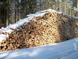 Vermessenes Schichtholz Vermessenes Schichtholz