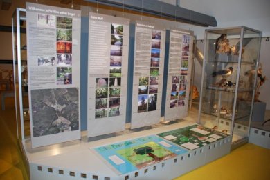 Waldzentrum Ausstellung