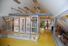 Waldschule mit Ausstellung Waldschule mit Ausstellung