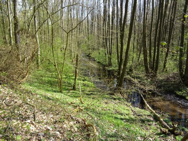 Landschaftsschutzgebiet Wockertal Idylle an der Wocker