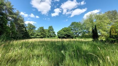 Blühwiese in Parchim Blüh- und Bienenwiese auf dem Parchimer Neuen Friedhof