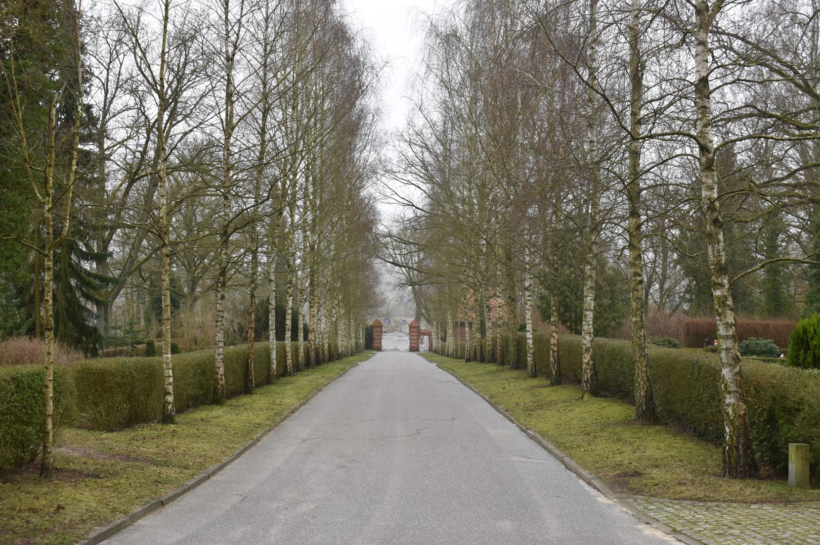 Neuer Friedhof in Parchim: In den kommenden Wochen wird ein Gräberfeld neugestaltet.