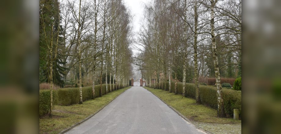 Neuer Friedhof in Parchim: In den kommenden Wochen wird ein Gräberfeld neugestaltet.