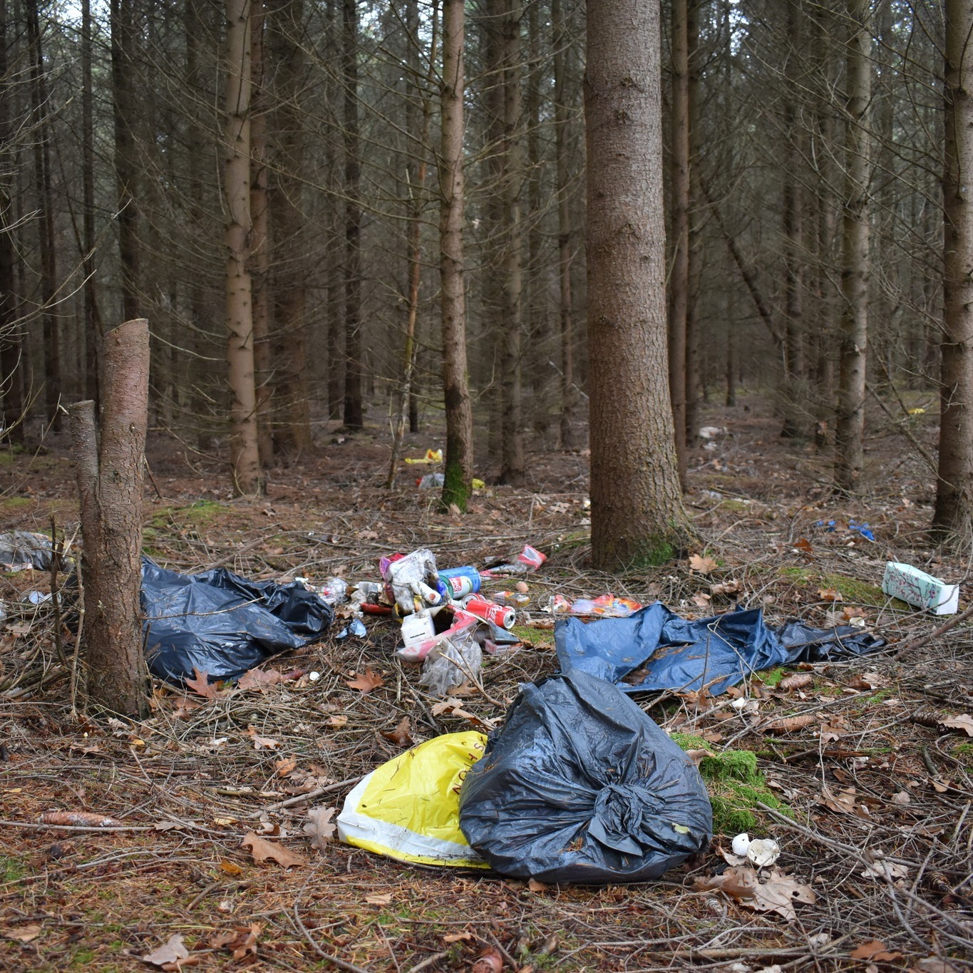 Verpackungsmüll im Wald vor Damm