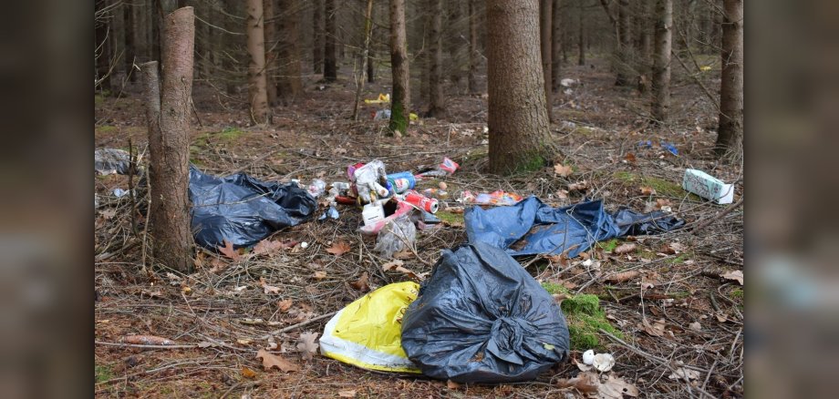 Verpackungsmüll im Wald vor Damm
