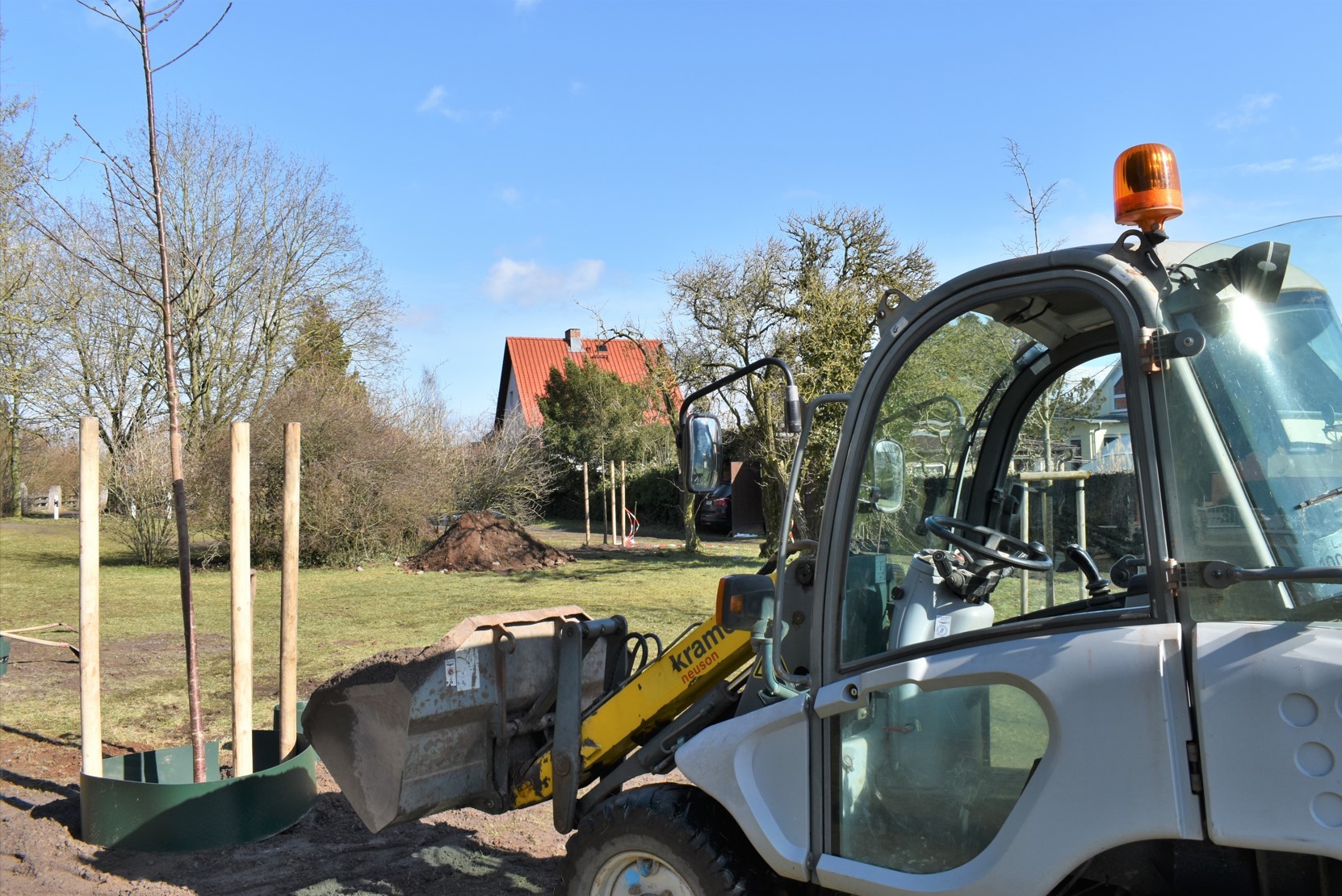 Ersatzpflanzungen im Stadtgebiet, hier am Parchimer Wiesenring.