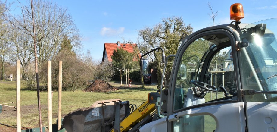 Ersatzpflanzungen im Stadtgebiet, hier am Parchimer Wiesenring.