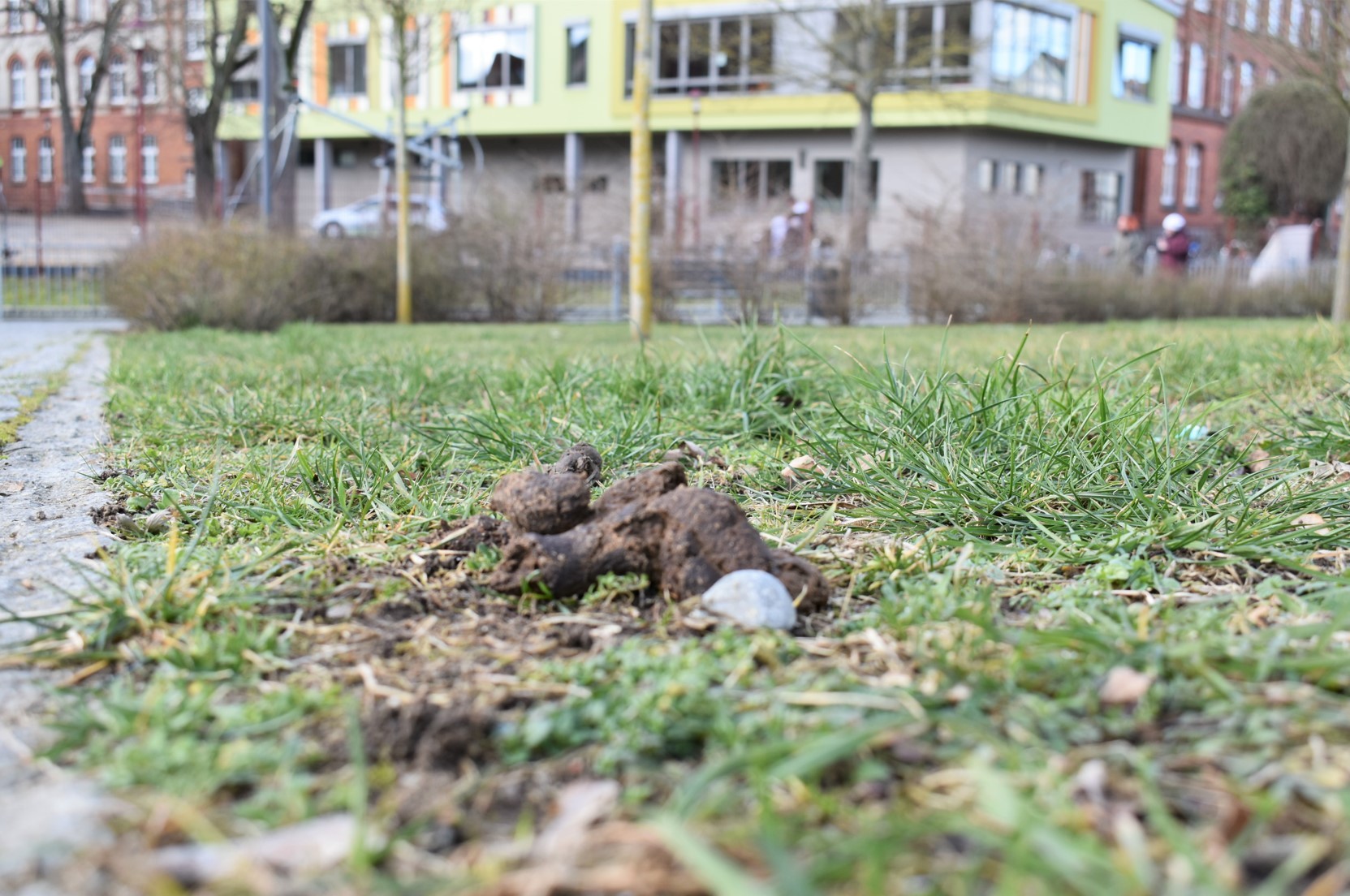 Ständiges Ärgernis: Hundehaufen in der Parchimer Innenstadt. 