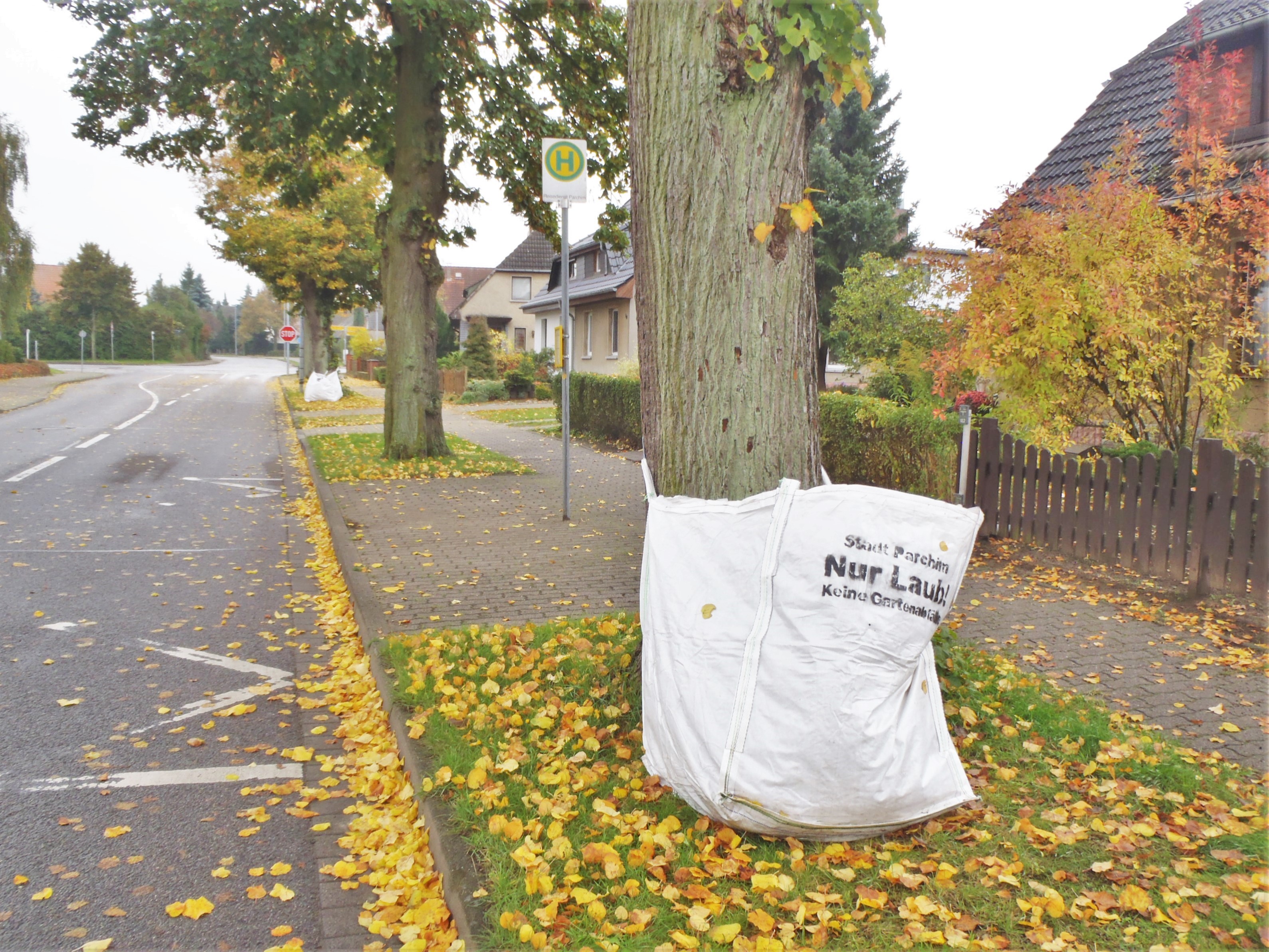 In den nächsten Wochen werden in der Kreisstadt die großen weißen Säcke zur Laubsammlung verteilt.