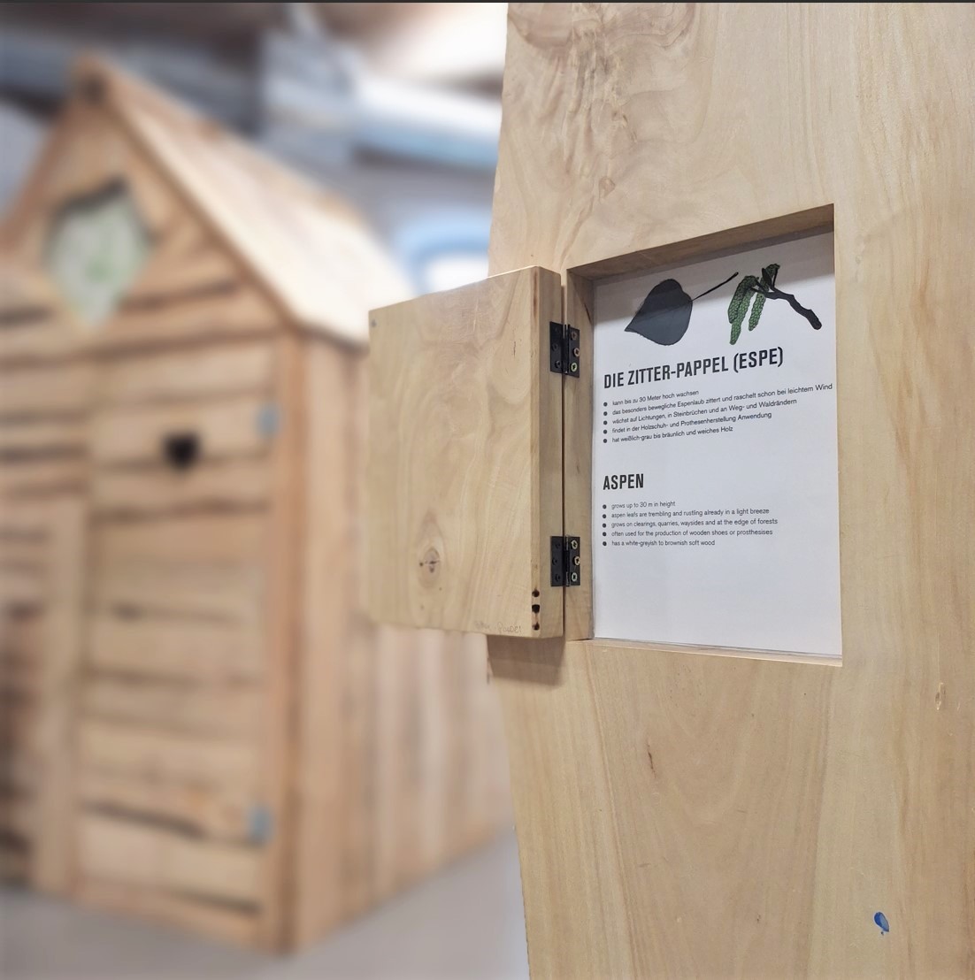 Sonderausstellung „Der Wald und ICH“ startet in der Kulturmühle