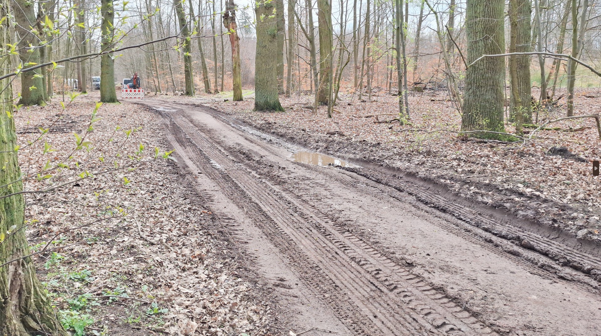 Bauarbeiten im Buchholz. Die Wege werden nach Abschluss der Arbeiten instandgesetzt.