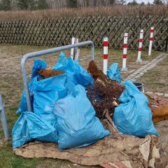 Rückblick: Große Beteiligung am Parchimer Frühjahrsputz 2024