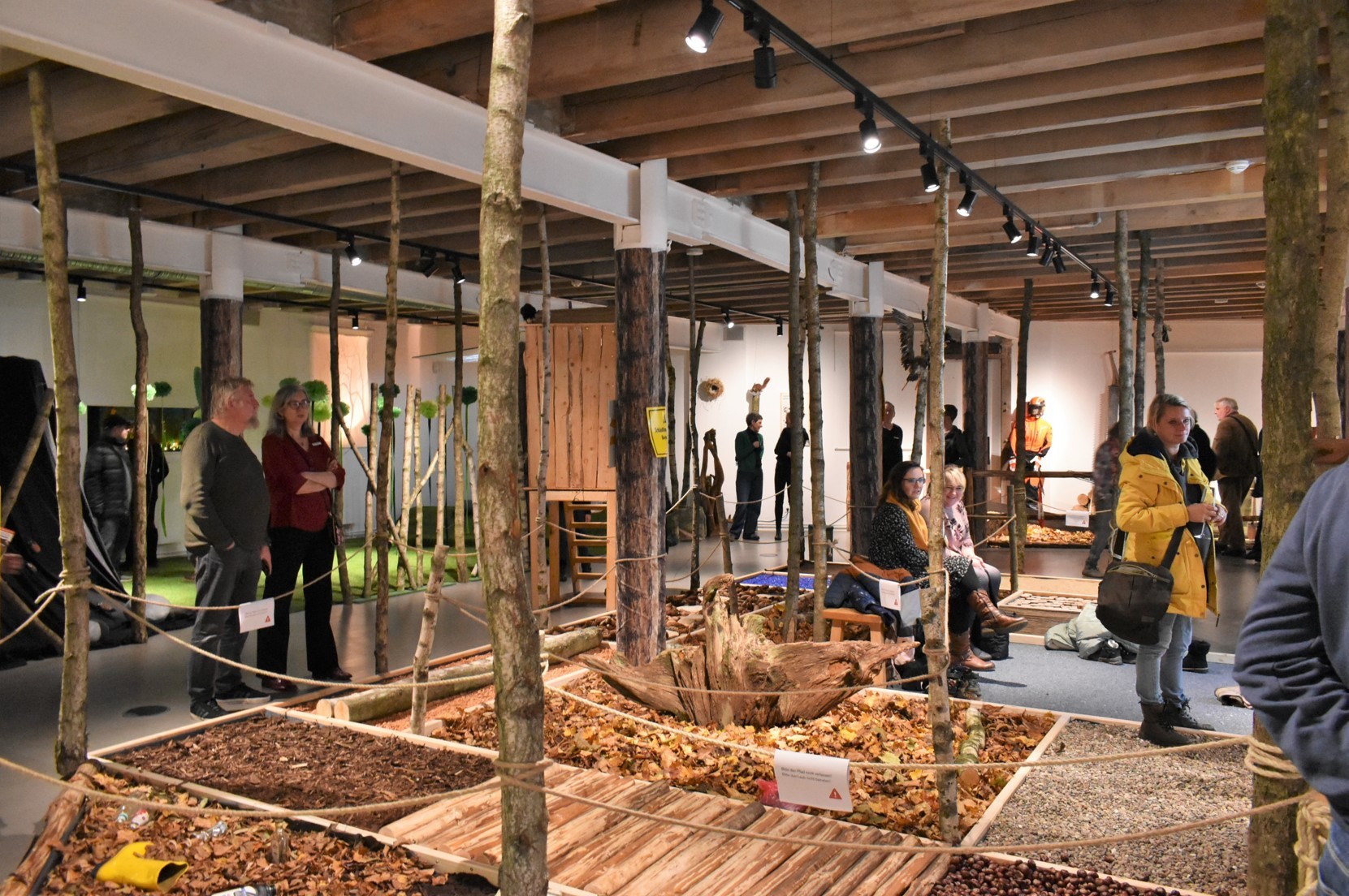 Den Wald mit allen Sinnen erleben. Die Sonderausstellung „Der Wald und ICH“ geht in die Verlängerung.