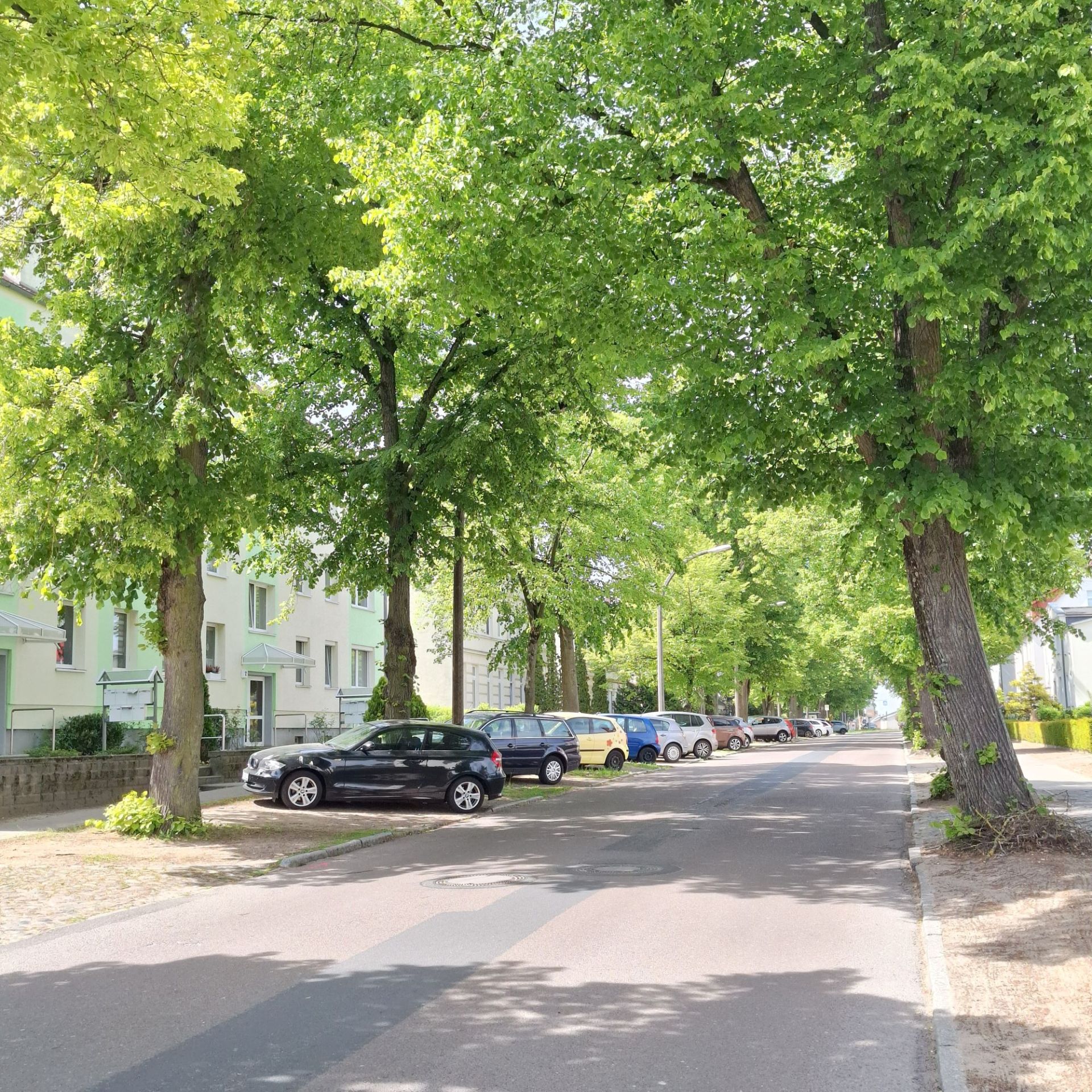 Parksituation Fritz-Reuter-Straße