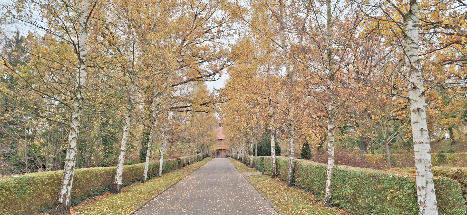 Der Parchimer Friedhof im Herbst.