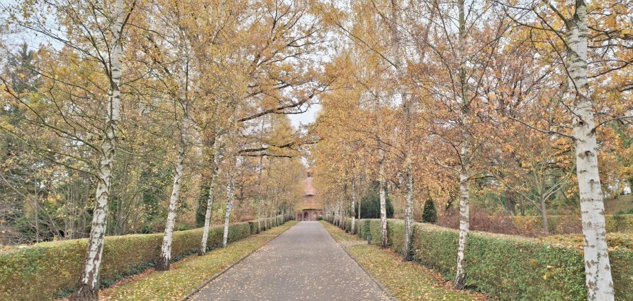 Der Parchimer Friedhof im Herbst.