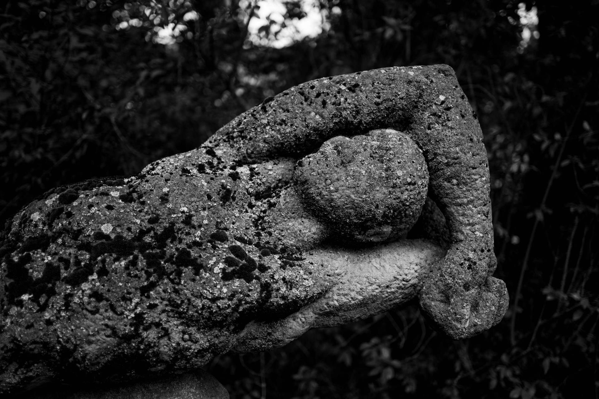 Fotoausstellung "Stille Zeugnisse" im Stadthaus Parchim