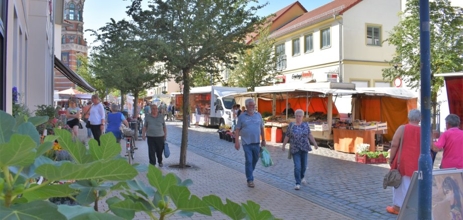 Am 3. Juni fällt der Parchimer Wochenmarkt aus. Am 3. Juni fällt der Parchimer Wochenmarkt aus.
