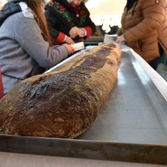 Bilder vom Bauernmarkt in Parchim