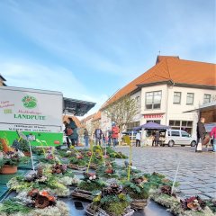 Parchimer Wochenmarkt